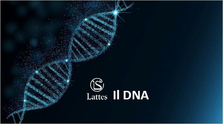 Il DNA