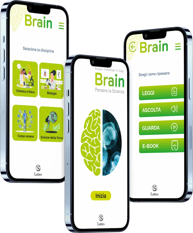 Schermate dell'app Brain