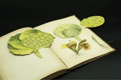 Libri animati botanica Lattes