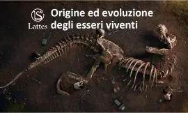 Evoluzione degli esseri viventi