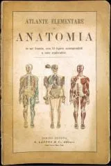 Copertina libro Lattes anatomia