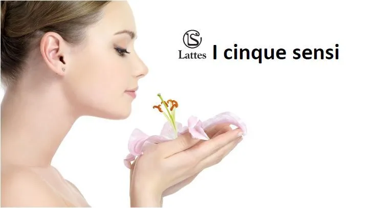 I cinque sensi