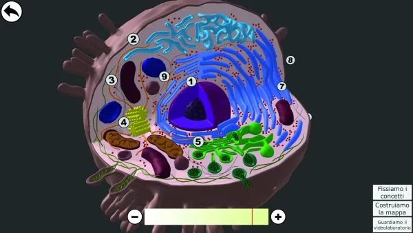 MATERIALI 3D DAL MICRO AL MACRO