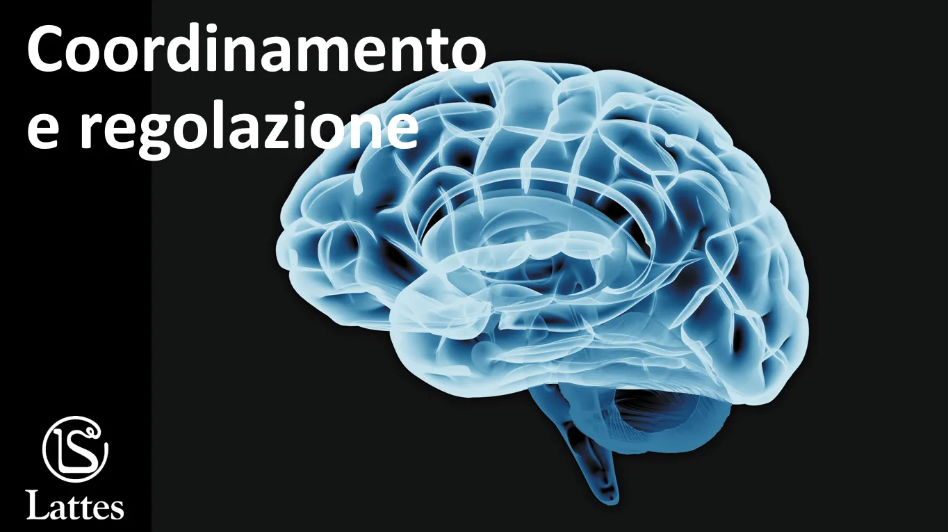 Coordinamento e regolazione