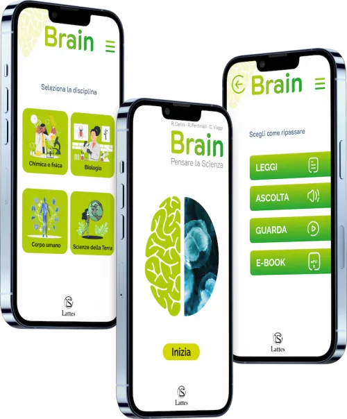 Schermate dell'app Brain