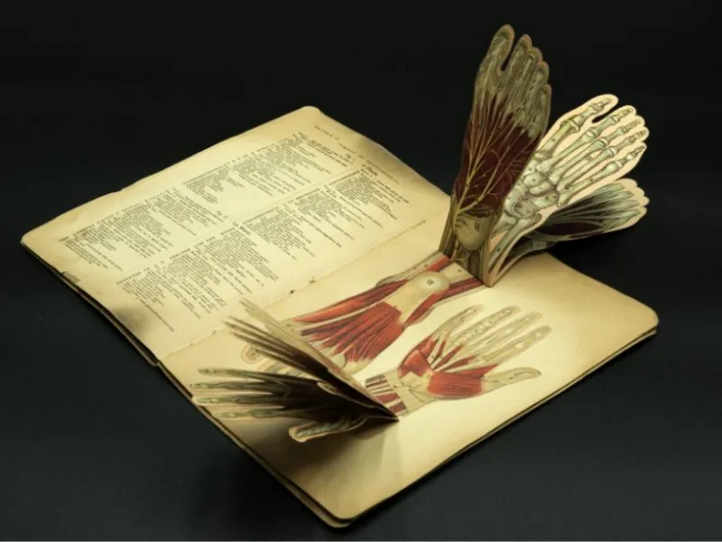 Libri Animati Anatomia