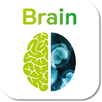 Logo applicazione Brain