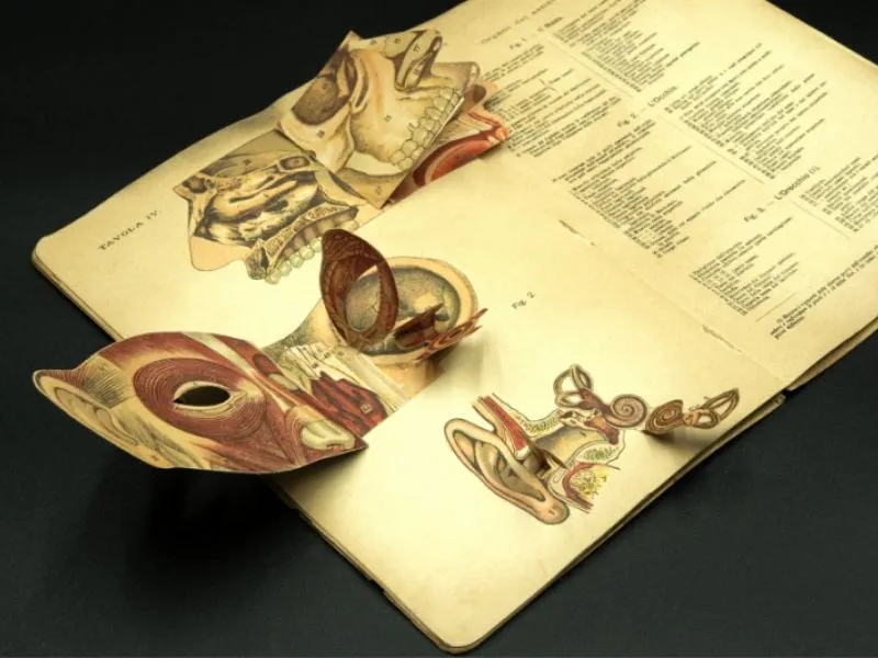 Anatomia Lattes Libri Animati