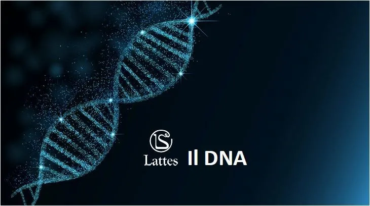 Il DNA