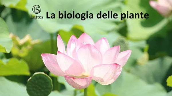 La biologia delle piante