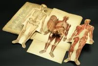 Libro Lattes anatomia