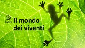 Il mondo dei viventi