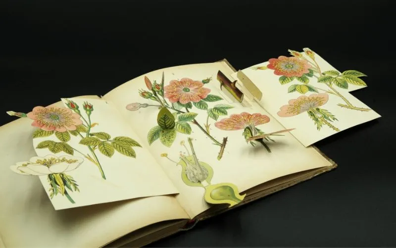 Libri animati botanica Lattes