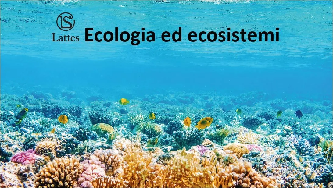 Ecologia ed ecosistema
