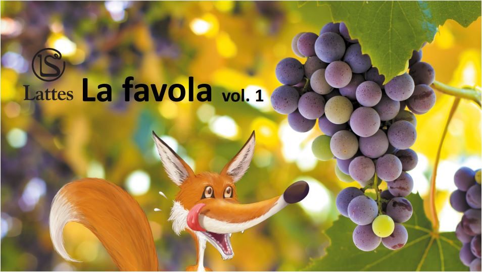 Immagine decorativa