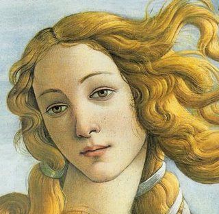 Immagine decorativa